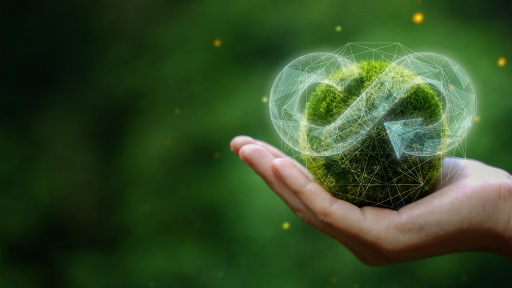 Embracing a Greener Future: The Rise of Sustainability and Green Finance in 2024